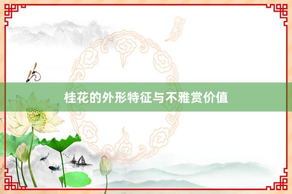 桂花的外形特征与不雅赏价值